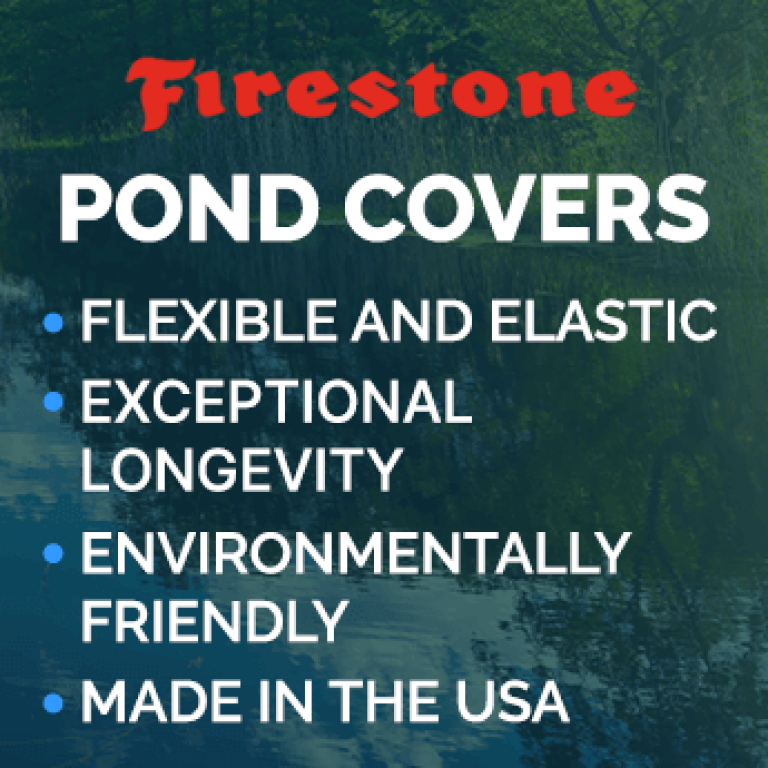 Firestone