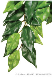 Exo Terra Silk Plant Ficus Large