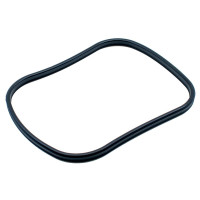 Oase Biomaster main gasket