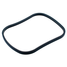 Oase Biomaster main gasket